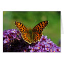 Map butterfly first (spring) generation cards