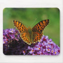 Map butterfly First (spring) generation mousepad