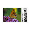 Map butterfly first (spring) generation postage