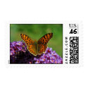 Map butterfly first (spring) generation postage