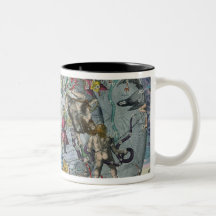 Map of Constellations of the Northern Mugs