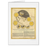 Map of the Moon and a Solar Eclipse by Panser 1748 Cards