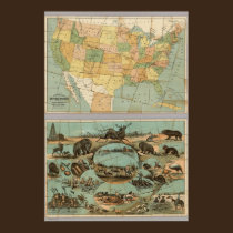 Map of the United States of America 2 posters