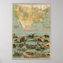 Map of the United States of America 2 Print
