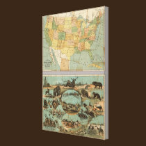 Map of the United States of America 3 canvas prints