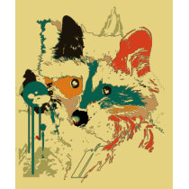 mapache t-shirts