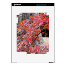 Maple and Cedar iPad 2 Decal