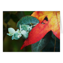 Maple and Eucalyptus cards