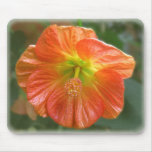 Maple Bloom mousepads