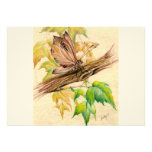 Maple Butterfly Custom Announcements