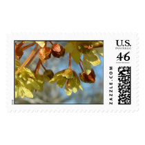 maple_flowers postage