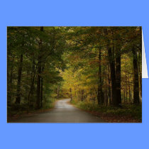 Maple Forest cards