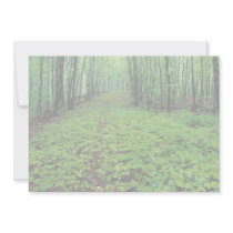 Maple forest, Gatineau Park, Quebec, Canada Custom Invite