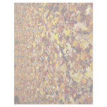 Maple forest, Gatineau Park, Quebec, Canada Customized Letterhead