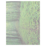 Maple forest, Gatineau Park, Quebec, Canada Letterhead Template