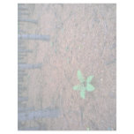 Maple forest, Quebec, Canada Personalized Letterhead