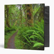 Maple Glade trail, ferns and moss covered 3 Ring Binder