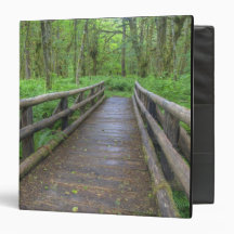Maple Glade trail wooden bridge, ferns and Binders