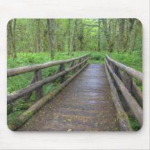 Maple Glade trail wooden bridge, ferns and Mousepads