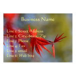 Maple Leaf, Business Card