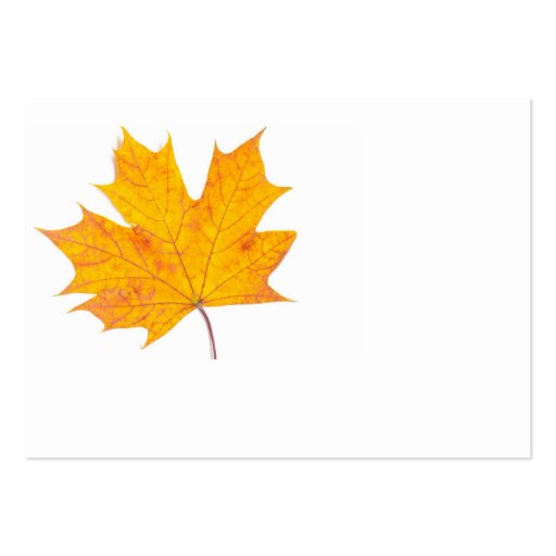 Maple leaf business card template (front side)