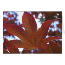 maple leaf card