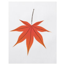 Maple Leaf flyers