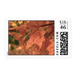 Maple Leaf HDR Postage Stamp