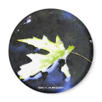 Maple Leaf I magnets