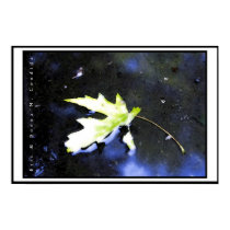 Maple Leaf I posters
