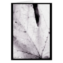 Maple Leaf II cards