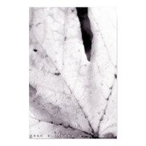Maple Leaf II posters