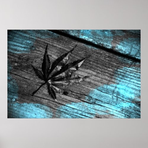 Maple Leaf in Black and White and Blue Poster print