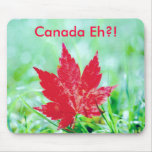 Maple Leaf in the Grass Mousepad