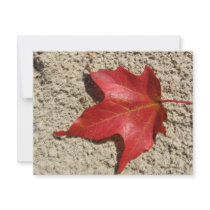 Maple Leaf in the Sand invitations
