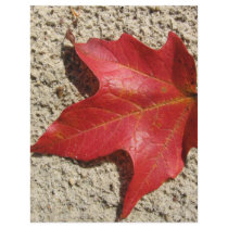 Maple Leaf in the Sand letterhead by cmailly Maple Leaf in the Sand letterhead