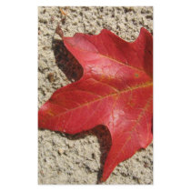 Maple Leaf in the Sand stationery by cmailly Maple Leaf in the Sand stationery
