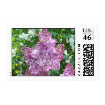 Maple Leaf Lilacs Postage Stamps