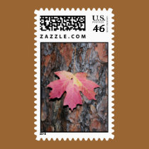 Maple Leaf on Bark stamps