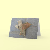 Maple leaf on pavement Greeting card cards