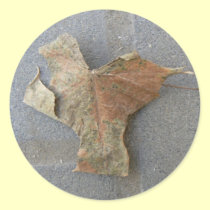 Maple leaf on pavement stickers