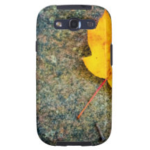 Maple Leaf on Rock