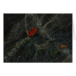 Maple Leaf on Vermont Waterfall Greeting Card