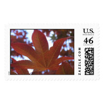 maple leaf postage by SandraTAlexander maple leaf postage