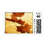 Maple leaf postage stamp