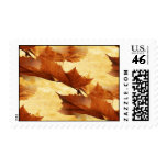 Maple leaf postage stamp