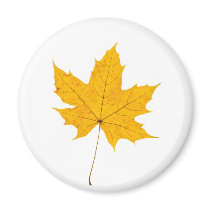 Maple Leave magnets by werglein Maple Leave magnets