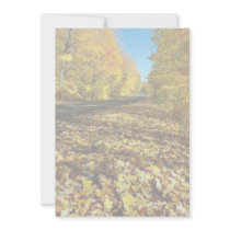 Maple leaves and Fortune Parkway, Gatineau Park, Q Personalized Invite