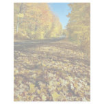Maple leaves and Fortune Parkway, Gatineau Park, Q Custom Letterhead