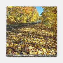 Maple leaves and Fortune Parkway, Gatineau Park, Q Magnets